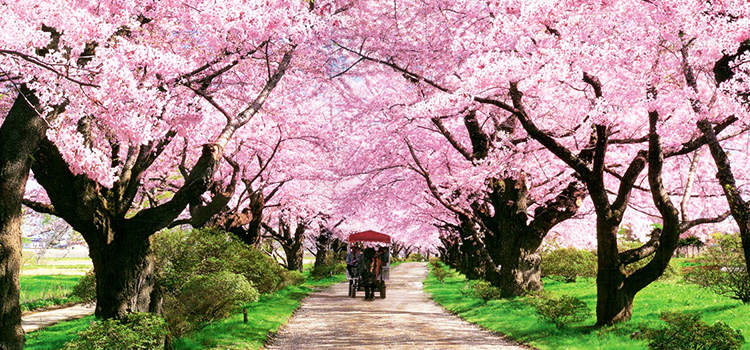 日本東北