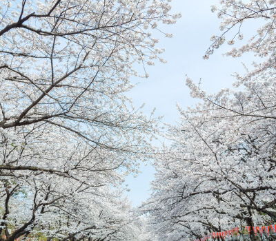 上野公園