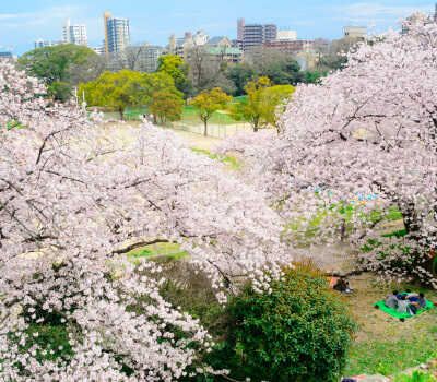 舞鶴公園