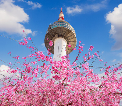 南山公園