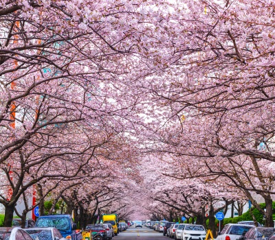 南川洞